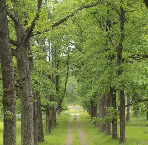 Lauritsalan Kartano 3* Λαπεενράντα